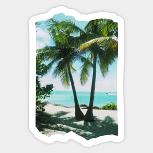 Palm tree photo Key West Florida blue sky palmtree landscape USA nature lovers Sticker